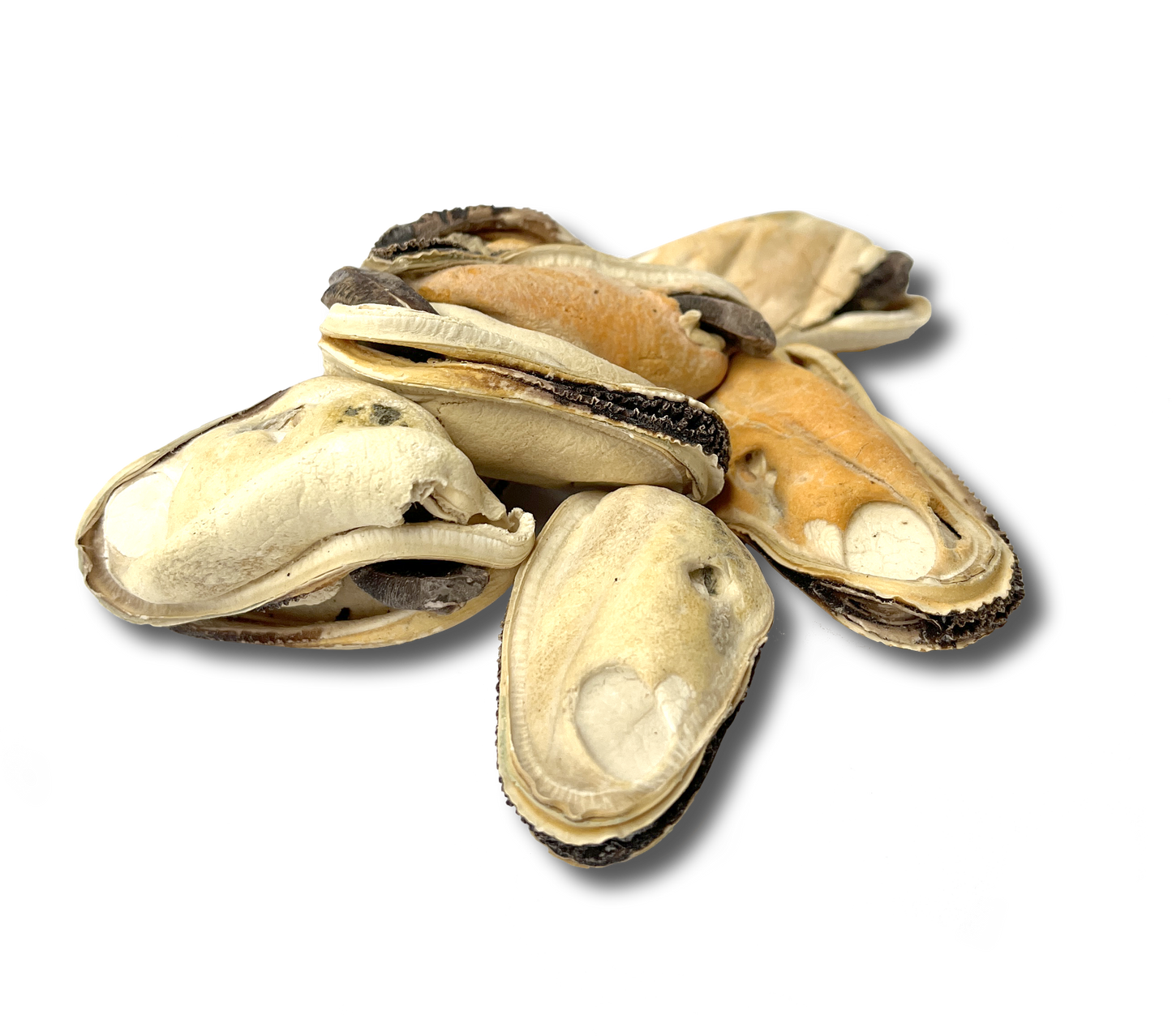 Freeze-Dried NZ Green Lipped Mussels TREATS