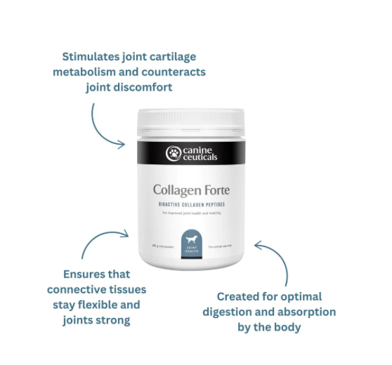 Collagen Forte - Bioactive Collageb Peptides