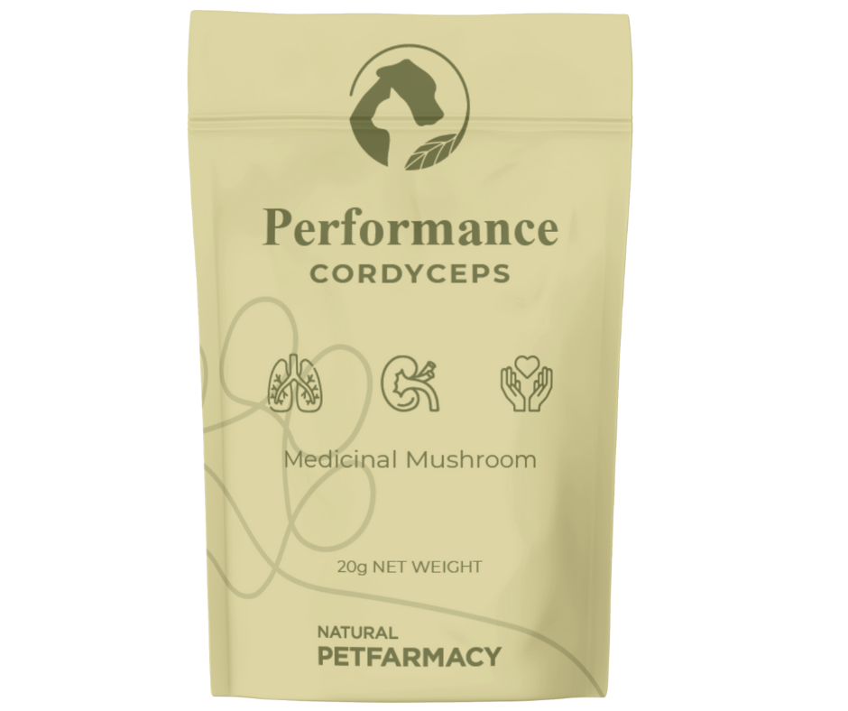NPF Medicinal Mushrooms