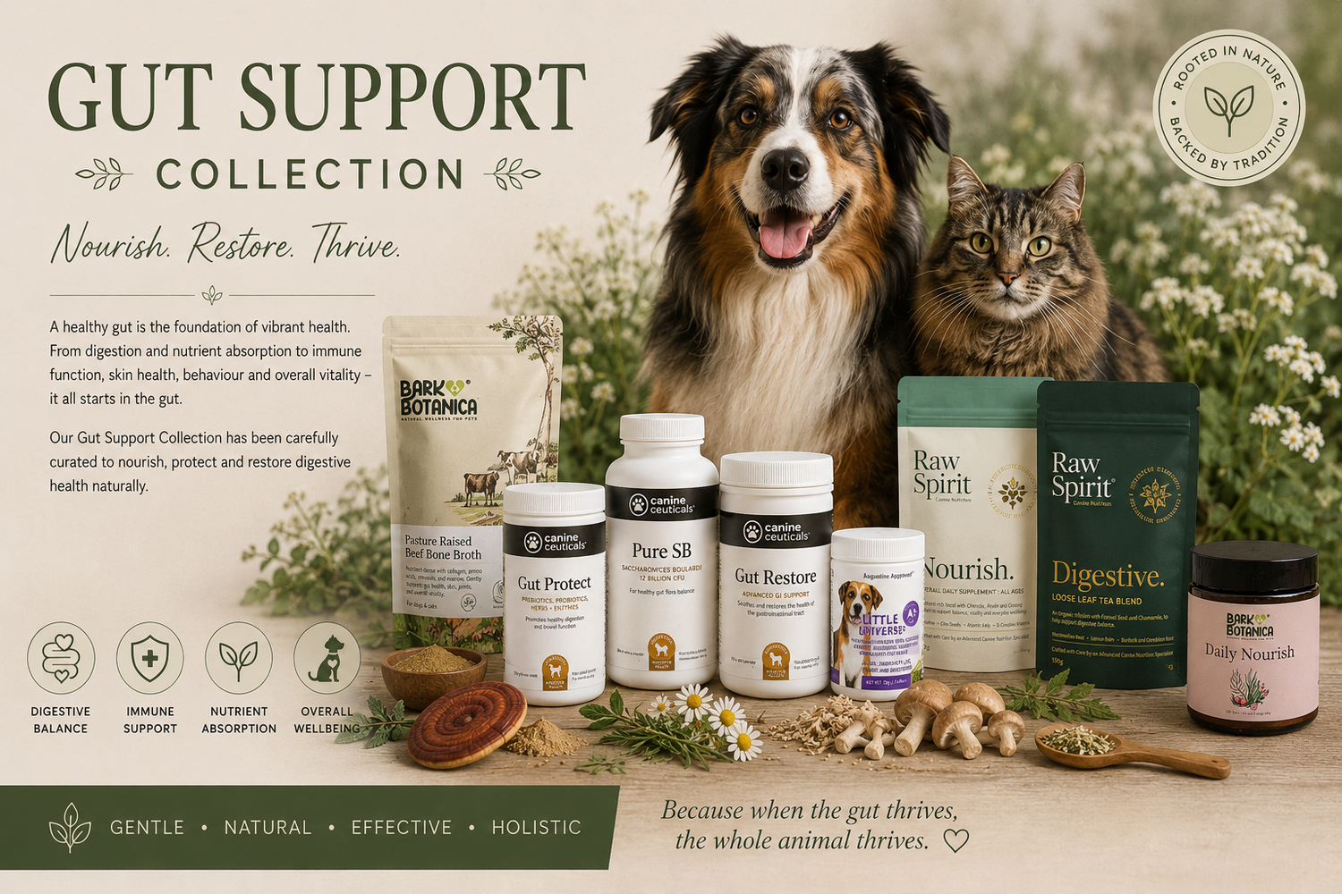Gut Support