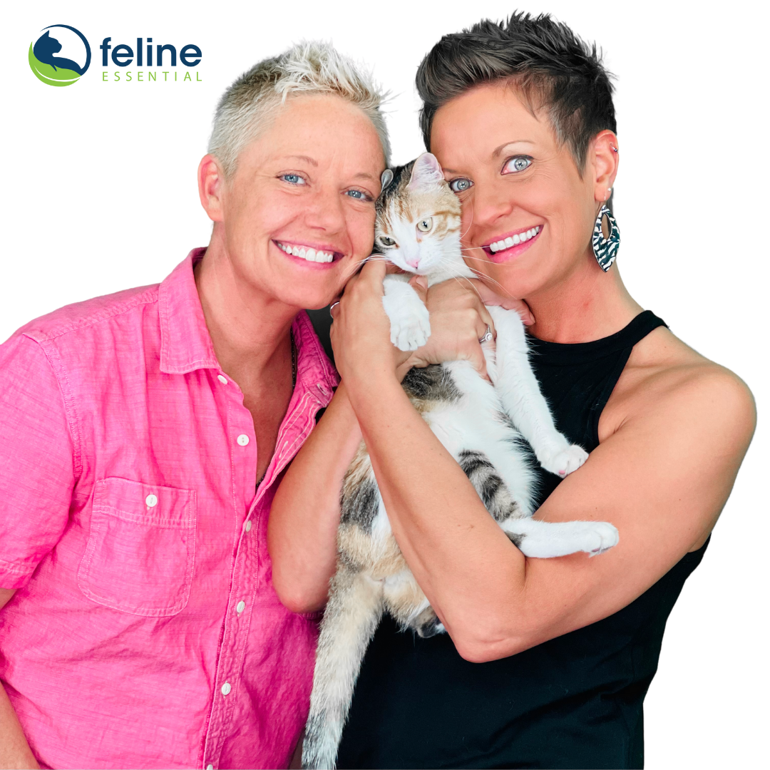 FELINE ESSENTIALS by The Two Crazy Cat Ladies