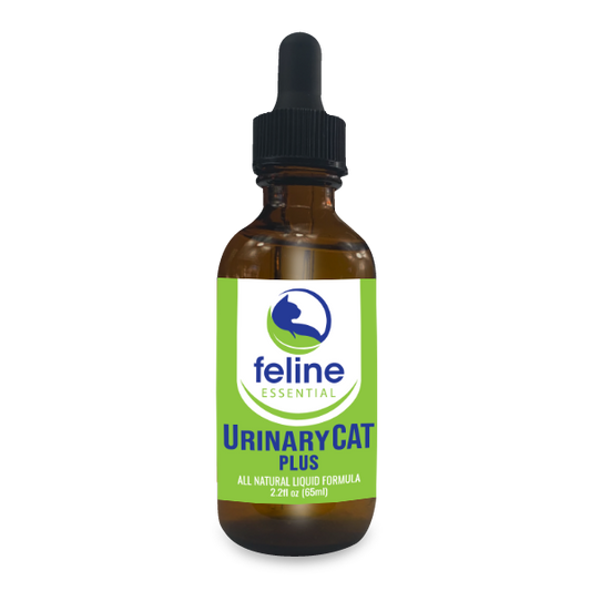 UrinaryCAT Plus