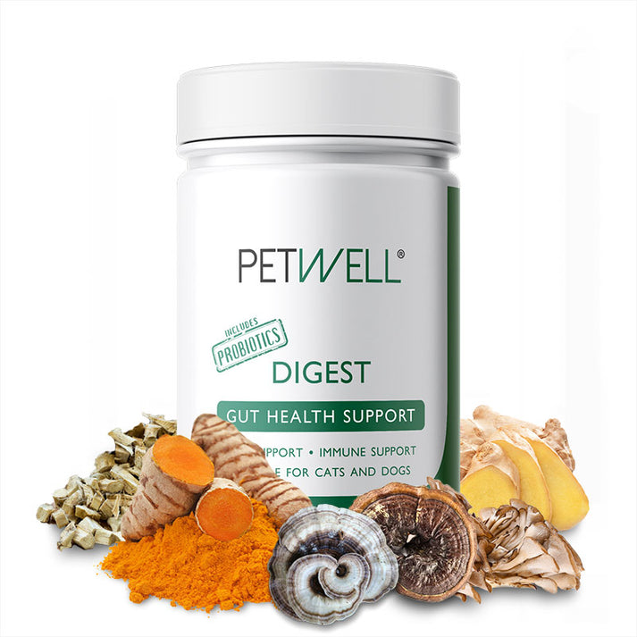 DIGEST - Digestion Relief – Natural Pet Farmacy