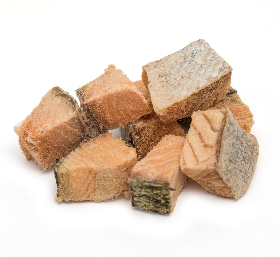 Freeze-Dried Salmon Fillet TREATS