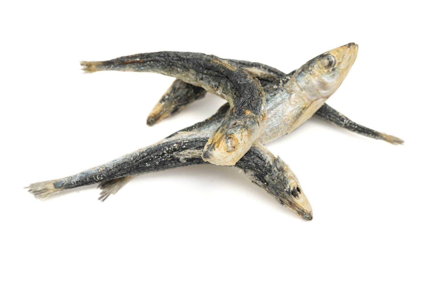 Freeze-Dried Whole Sardine TREATS