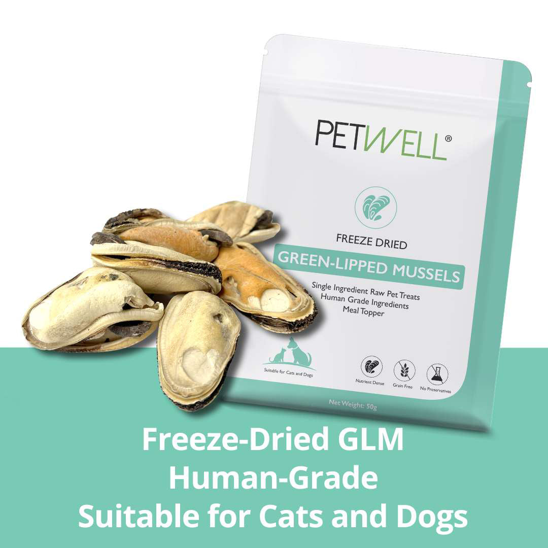 Freeze-Dried NZ Green Lipped Mussels TREATS