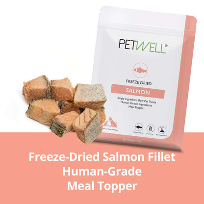 Freeze-Dried Salmon Fillet TREATS