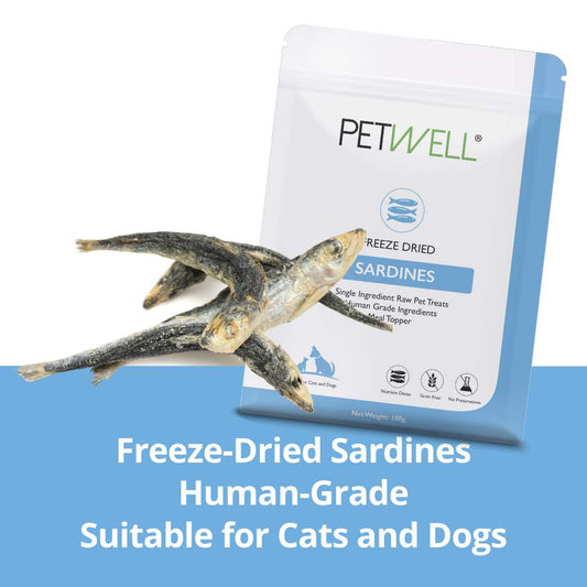 Freeze-Dried Whole Sardine TREATS