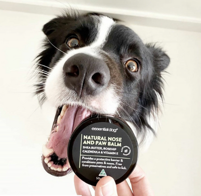 Natural Nose & Paw Balm