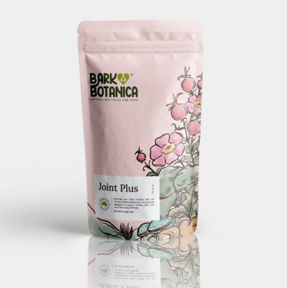Joint Plus 125g