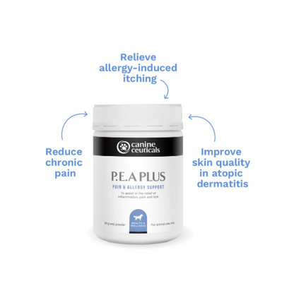 P.E.A (Palmitoylethanolamide)