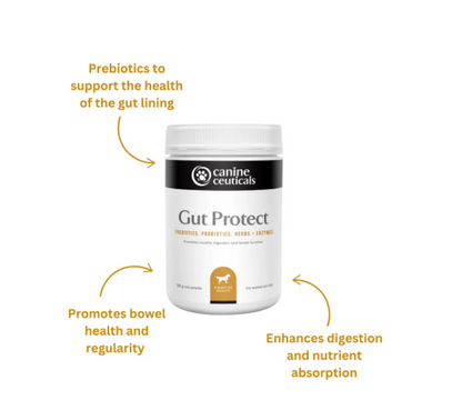 Gut Protect