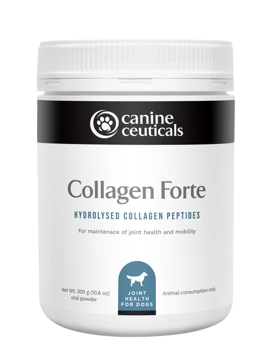 Collagen Forte - Bioactive Collageb Peptides