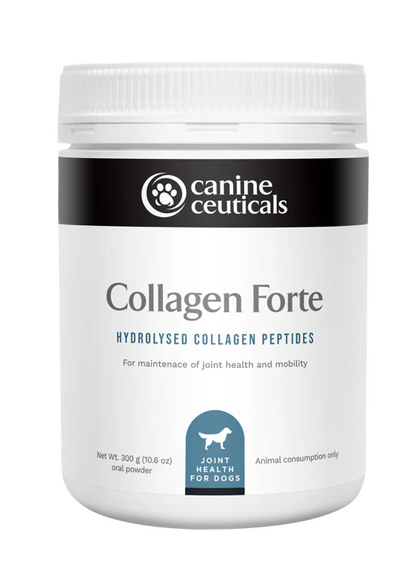 Collagen Forte - Bioactive Collageb Peptides