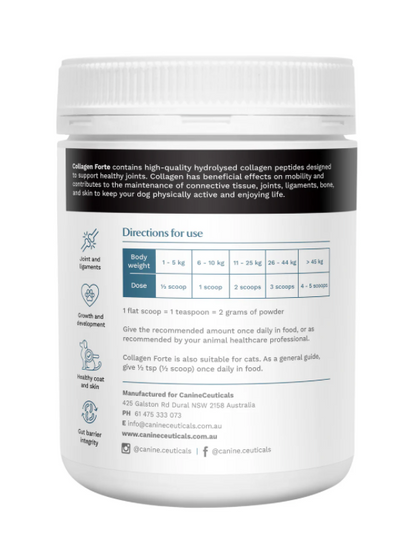 Collagen Forte - Bioactive Collageb Peptides
