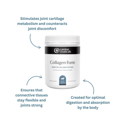 Collagen Forte - Bioactive Collageb Peptides